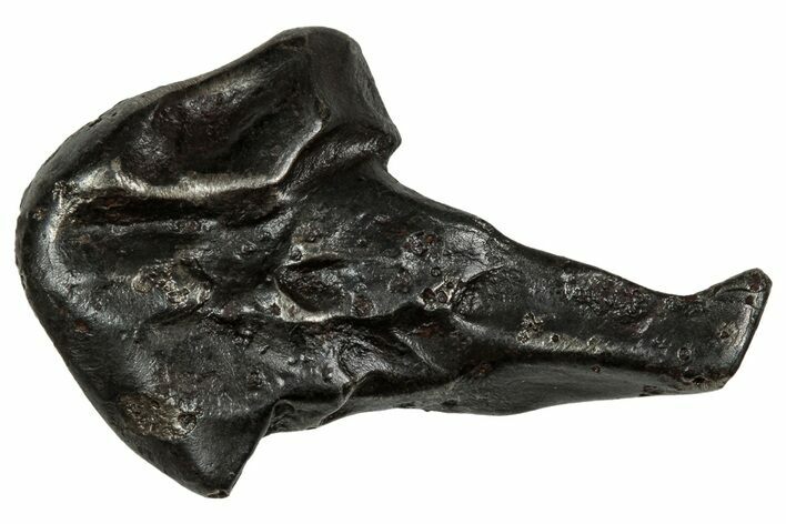 Fusion Crusted Sikhote-Alin Iron Meteorite ( g) - Russia #334562